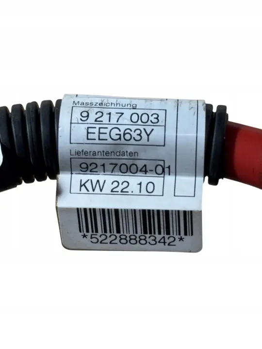 BMW X6 E71 accuklem OEM 9217004 image 3