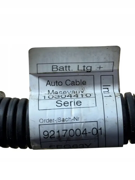 BMW X6 E71 accuklem OEM 9217004 image 4