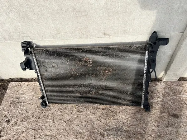 Radiador de agua TRAFIC III image 2