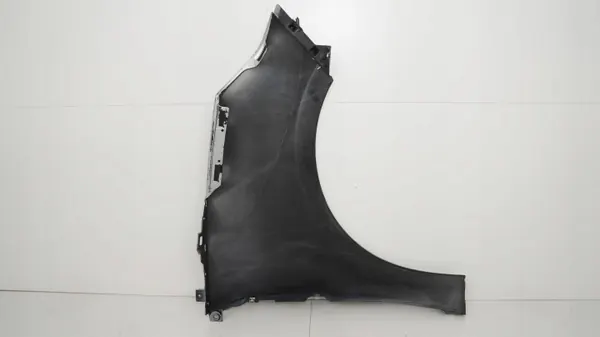 Para-lamas dianteiro esquerdo OEM 360204530 para Renault Scenic III image 8