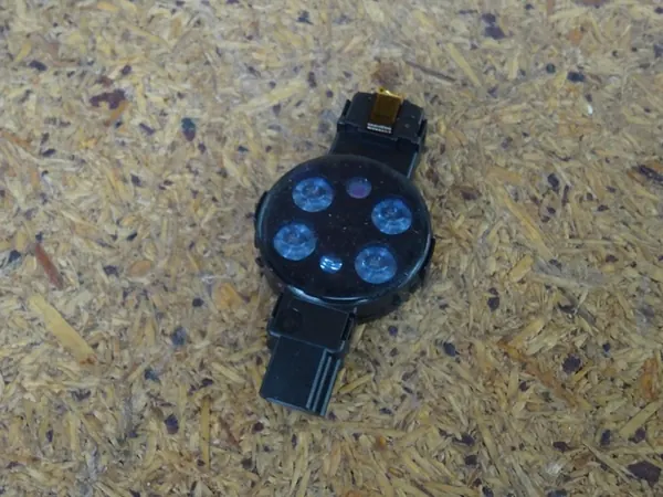 Sadetunnistin VW Sharan Seat Alhambra 7N0955559 image 6