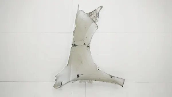 Para-lamas dianteiro esquerdo OEM 360198240 SEAT Toledo IV image 7