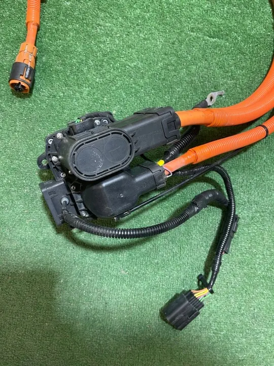 Maxus OEM C00353387 Ladekabel für Euniq 6 image 4