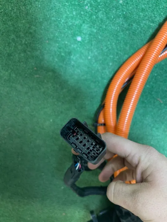 Maxus OEM C00353387 Ladekabel für Euniq 6 image 5
