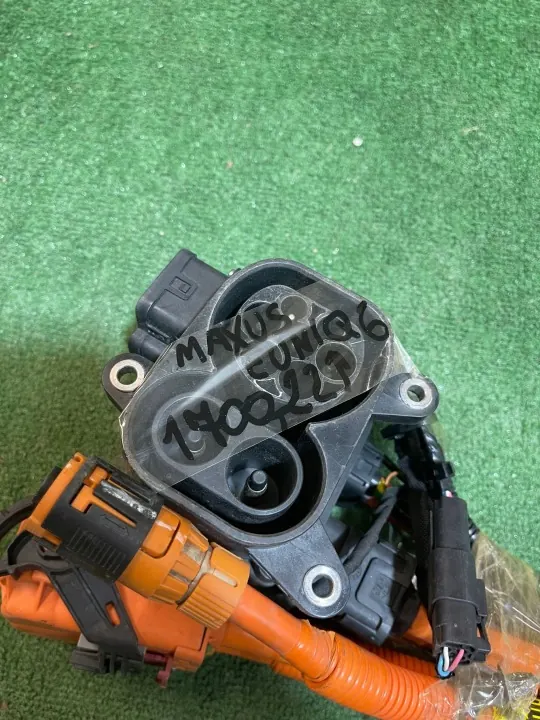 Maxus OEM C00353387 Ladekabel für Euniq 6 image 7