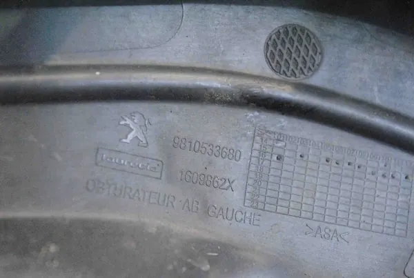 Rejilla de parachoques delantero izquierdo PEUGEOT 208 OEM 9810533680 image 5