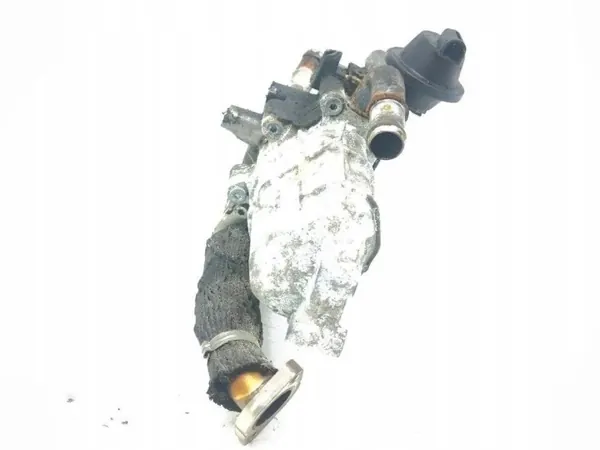 EGR-koeler Citroen C5 2009 OEM 701914040 image 4