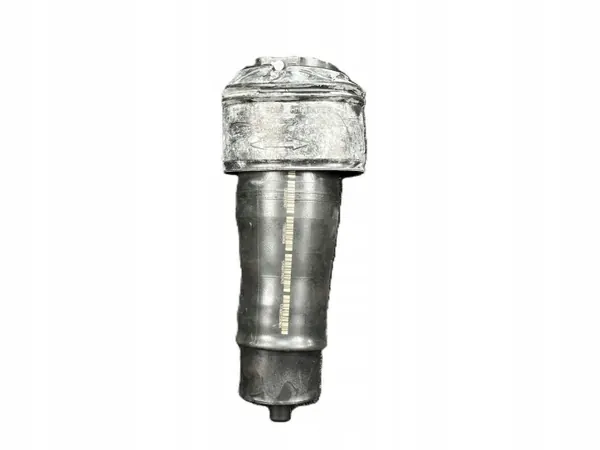 Coussin pneumatique arrière OEM 9676469480B Citroen image 2