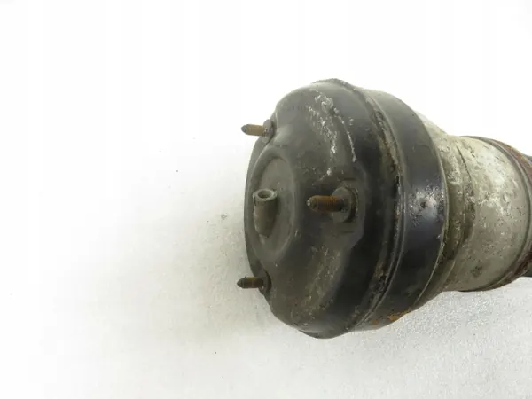 Bilstein Schokdemper OEM C086053P7 voor Mercedes S-Klasse image 6