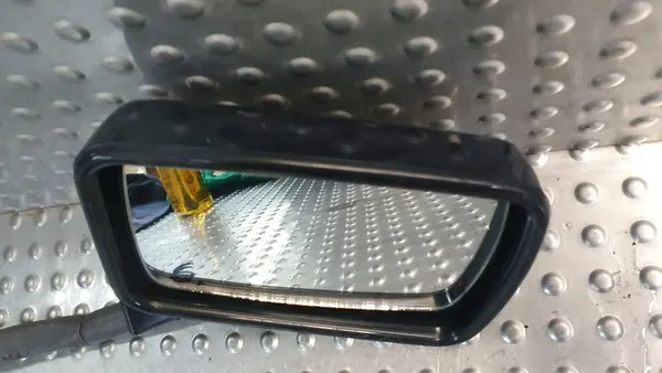 Vasen peili VW Golf I 171857501F image 3