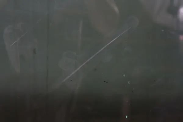 Toit ouvrant BMW E60 image 4