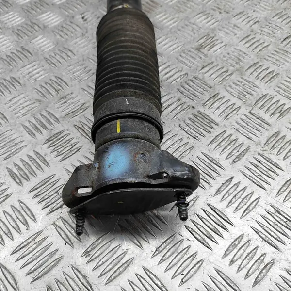 Ammortizzatore Posteriore Mercedes ML W166 A1663201130 image 5