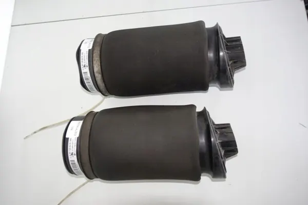 Bolsa Airmatic Mercedes W251 Trasera OEM 2513200425 image 2