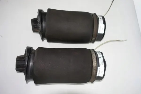Bolsa Airmatic Mercedes W251 Trasera OEM 2513200425 image 3