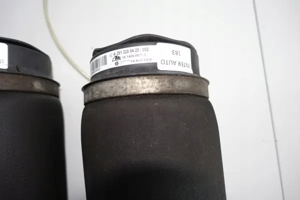 Bolsa Airmatic Mercedes W251 Trasera OEM 2513200425 image 5