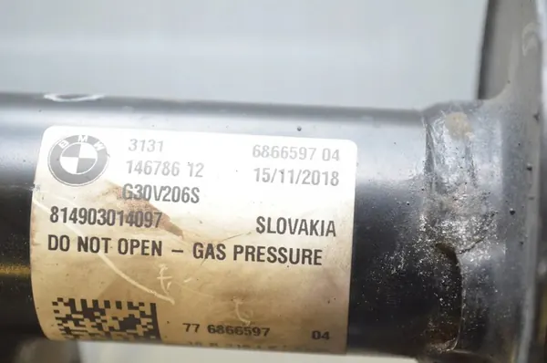 Ammortizzatore Anteriore Sinistro BMW 5 (G30) 31316866597 image 4