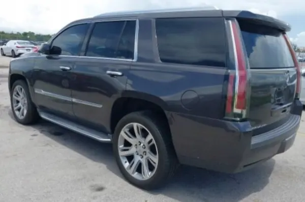 Évacuation d'eau OEM 23200192 Cadillac Arrière Droit image 7