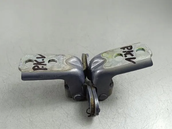 Vordertürscharniere KIA Sorento IV 2022 image 4