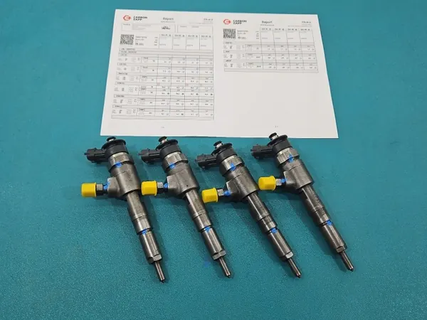 Getesteter Injektor OEM 0445110135 für Citroen C2 image 2