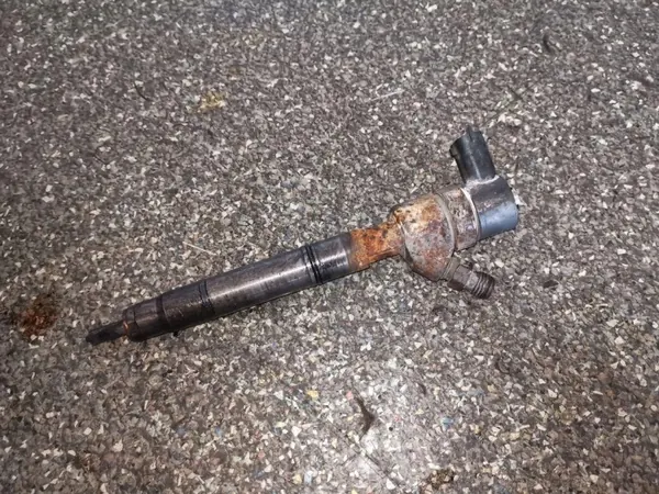 Hyundai Matrix Diesel Einspritzdüse OEM 0445110222 image 2