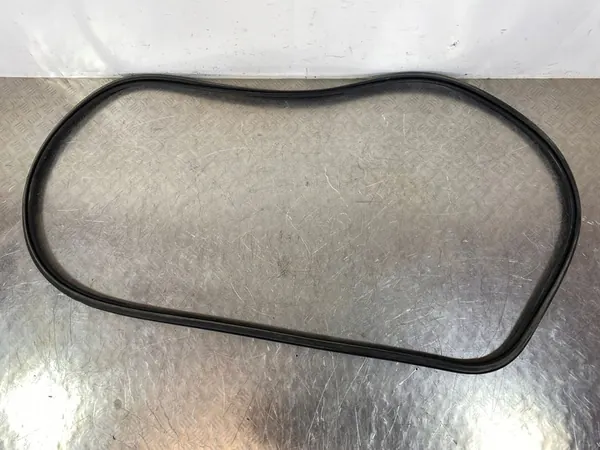 2020 Volvo XC90 Front Door Seal image 3