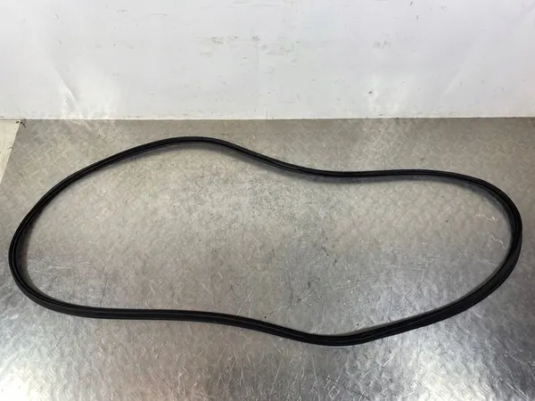 2024 Nissan X-Trail T33 Vedação da Porta Traseira FOB53745 image 3