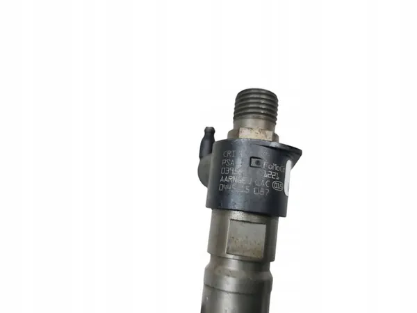 Insprutning Peugeot 508 I Citroen C5 III Mondeo MK4 2.2 HDI TDCI image 6