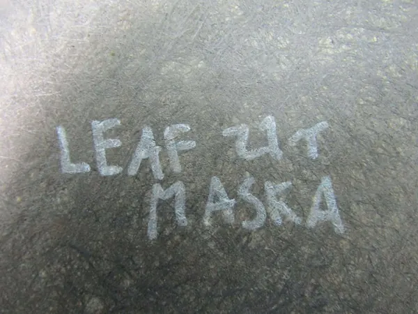 Isolamento do Capô LEAF II ZE1 image 10