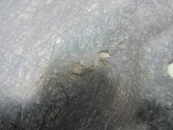 Isolamento do Capô LEAF II ZE1 image 8