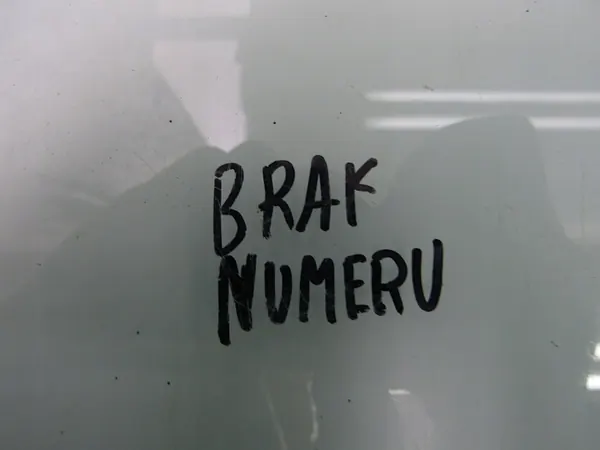 Isolamento do Capô LEAF II ZE1 image 9