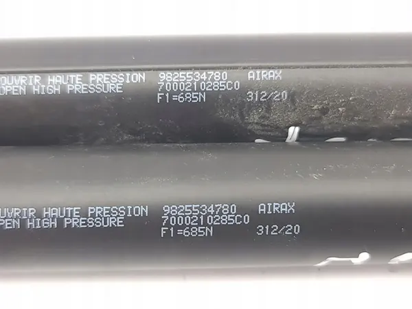 Peugeot 2008 II 2021 Rear Trunk Lid Shock Absorber OEM image 3