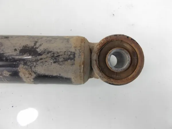 Amortecedores Traseiros OEM 4KVDYFUFR para Ford Focus image 3
