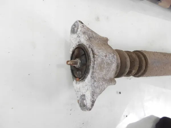 Amortecedores Traseiros OEM 4KVDYFUFR para Ford Focus image 4