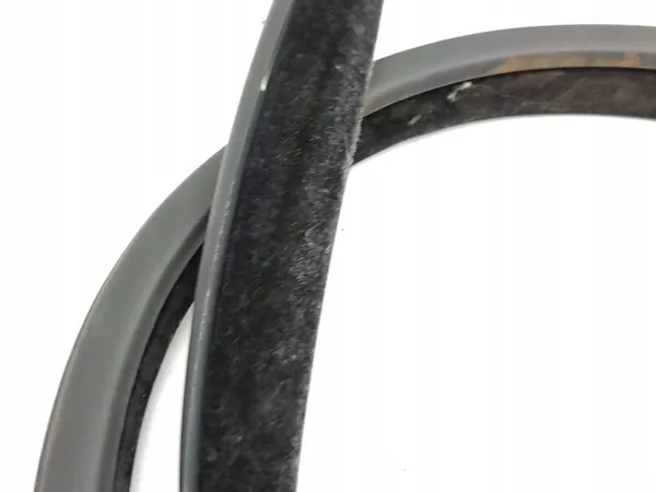 Infiniti Q30 2016 Left Door Rubber Seal image 5