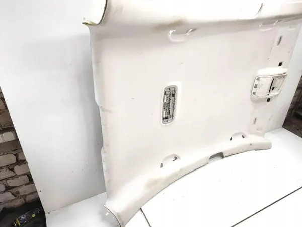 OEM 3C8867501 VW CC Painel de Teto Completo image 5
