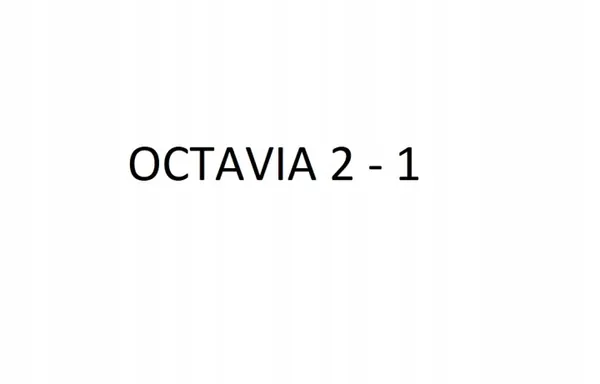 Insert Miroir Gauche OEM 4F0857535AE Skoda Octavia II image 5