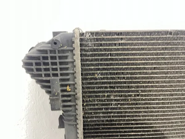 Water Radiator Renault Trafic II Vivaro A 2.0 DCI 8200411166E image 10
