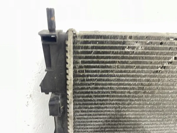 Water Radiator Renault Trafic II Vivaro A 2.0 DCI 8200411166E image 5