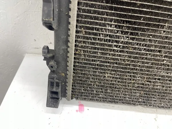 Water Radiator Renault Trafic II Vivaro A 2.0 DCI 8200411166E image 9