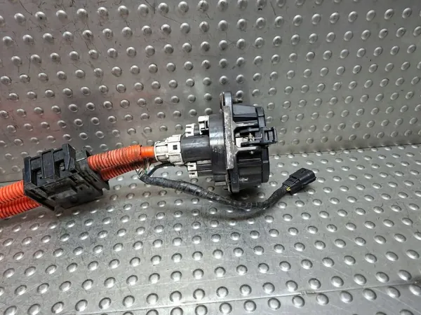 Enchufe de carga EV Nissan Leaf I OEM 296B1 image 3
