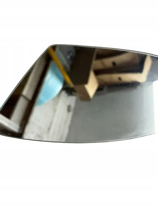 Insert miroir gauche porte avant OEM 20453001 image 4