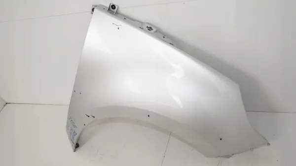 OEM 360204132 Etu-oikea lokasuoja Renault Scenic III image 3