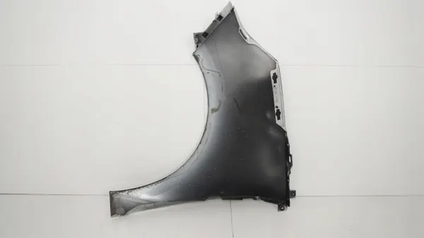OEM 360204132 Etu-oikea lokasuoja Renault Scenic III image 8