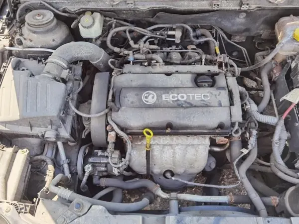 Öljypumppu OEM 55565003 Opel Insignia 1.8L 2013 image 7