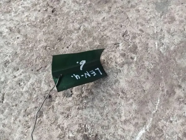 Hulpverwarming brandstofpomp Volvo S90 OEM 9001441 image 4