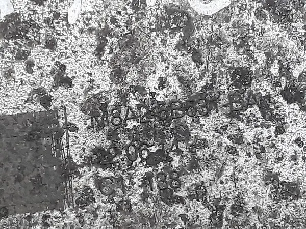 Braço de Suspensão Jaguar F-Pace 2022 m8a25b531ba image 5