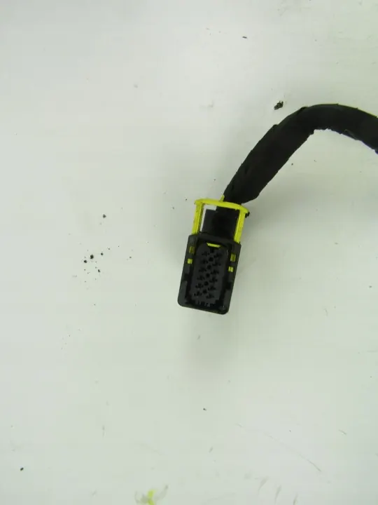 Câble électrique Jaguar I-PACE OEM J9D3-14E190-AC image 3