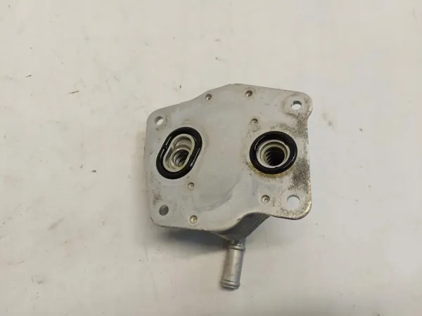 Refroidisseur d'huile Nissan X-TRAIL OEM NISXTRChl71029687 image 3