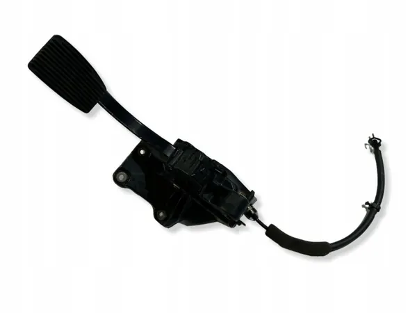 Kaasupoljin potentiometri OEM 98439889 Ford F150 image 2