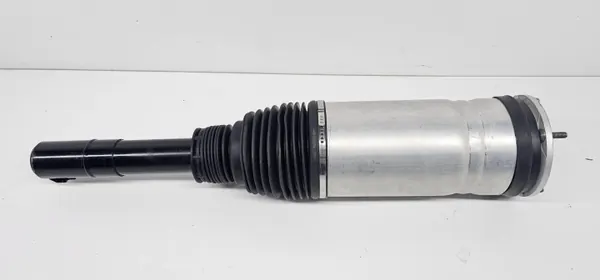 Amortiguador neumático delantero derecho OEM DPLA3C285CG image 9